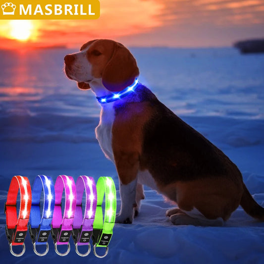 Light Up Dog Collar Waterproof USB Rechargeable Glowing Adjustable Night Safety Nylon Luminous LED