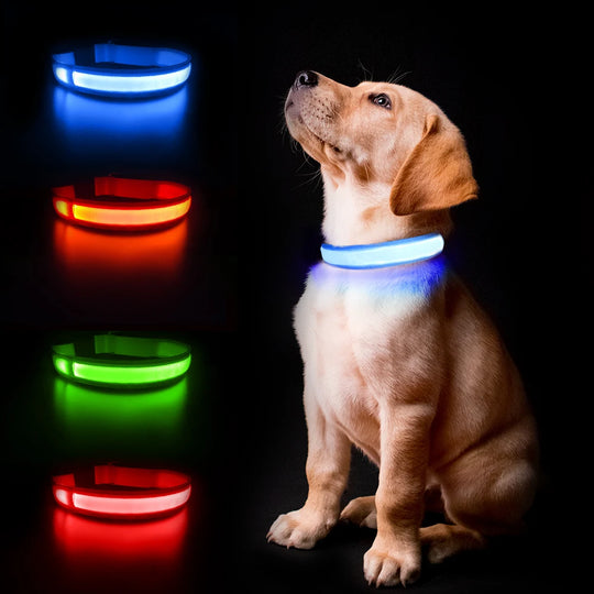 Dog Collar Luminous Pet Supplies  Water poof Safety