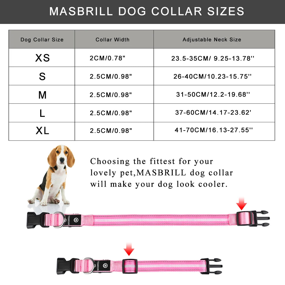 Light Up Dog Collar Waterproof USB Rechargeable Glowing Adjustable Night Safety Nylon Luminous LED