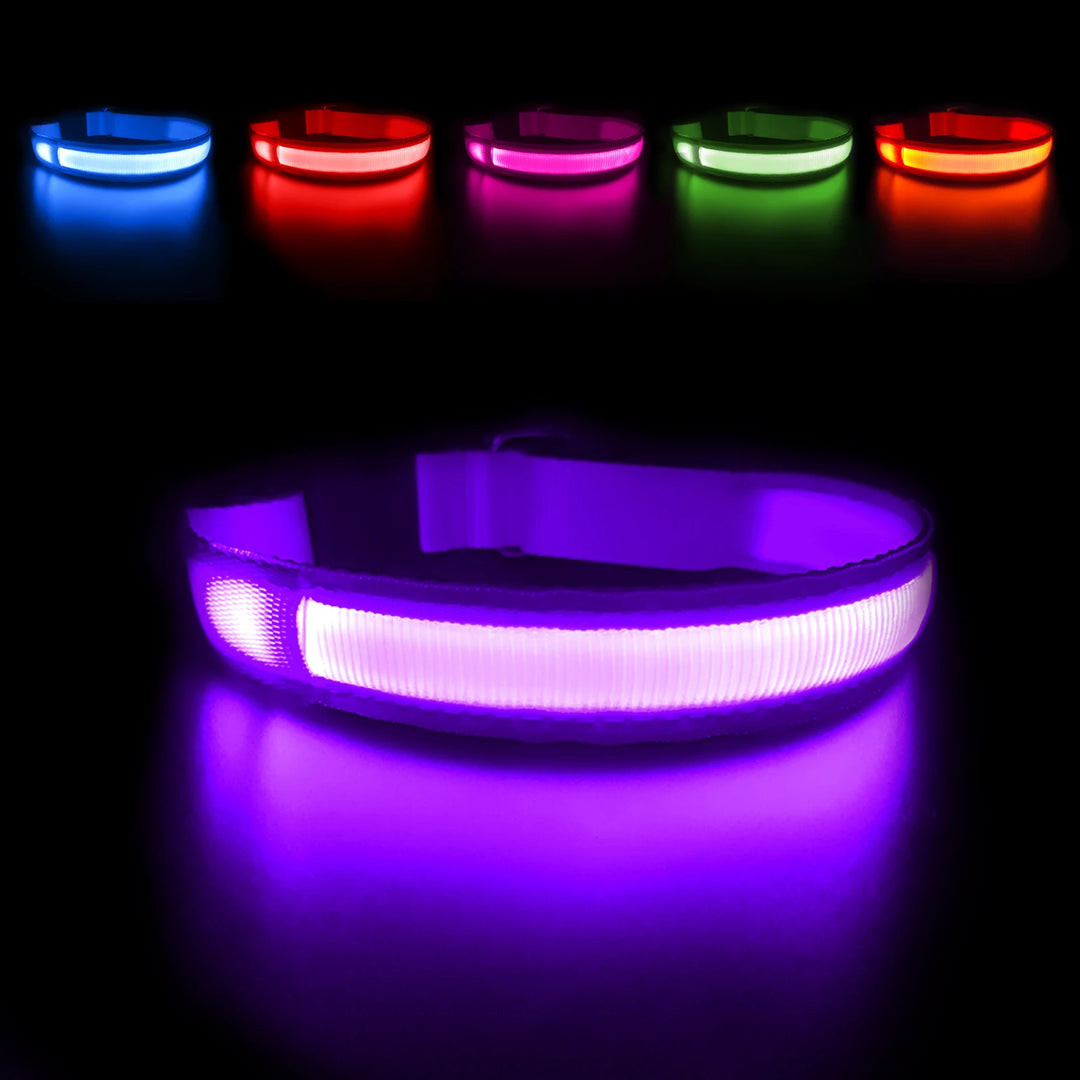 Dog Collar Luminous Pet Supplies  Water poof Safety