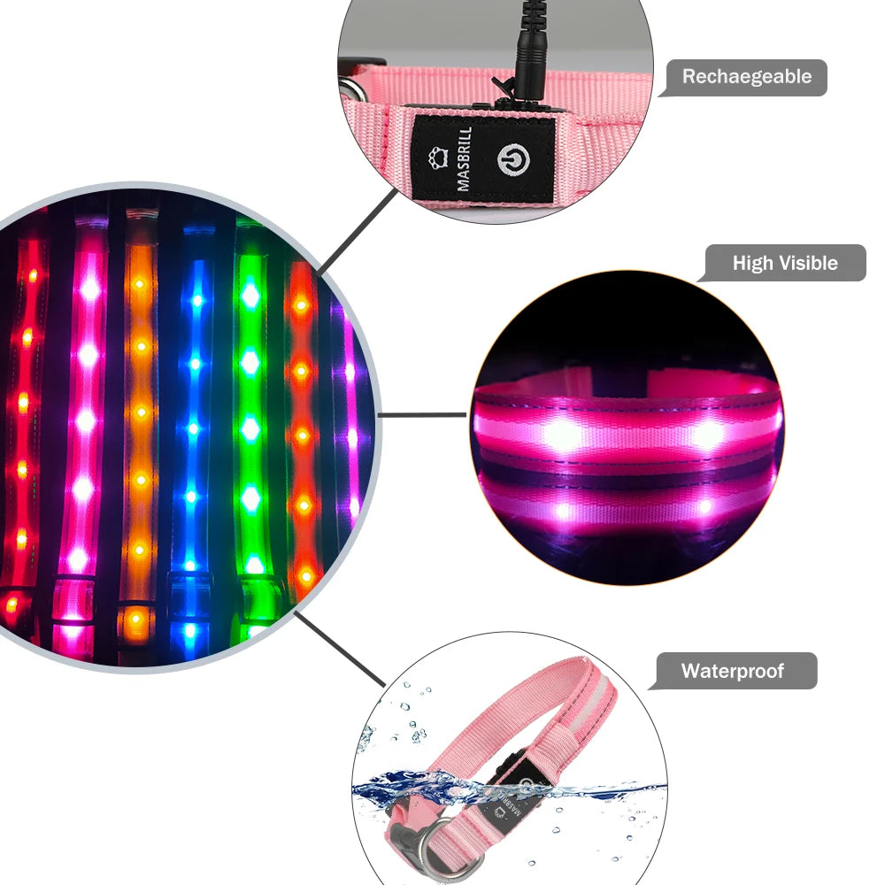 Light Up Dog Collar Waterproof USB Rechargeable Glowing Adjustable Night Safety Nylon Luminous LED