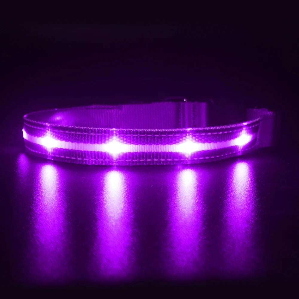 Light Up Dog Collar Waterproof USB Rechargeable Glowing Adjustable Night Safety Nylon Luminous LED