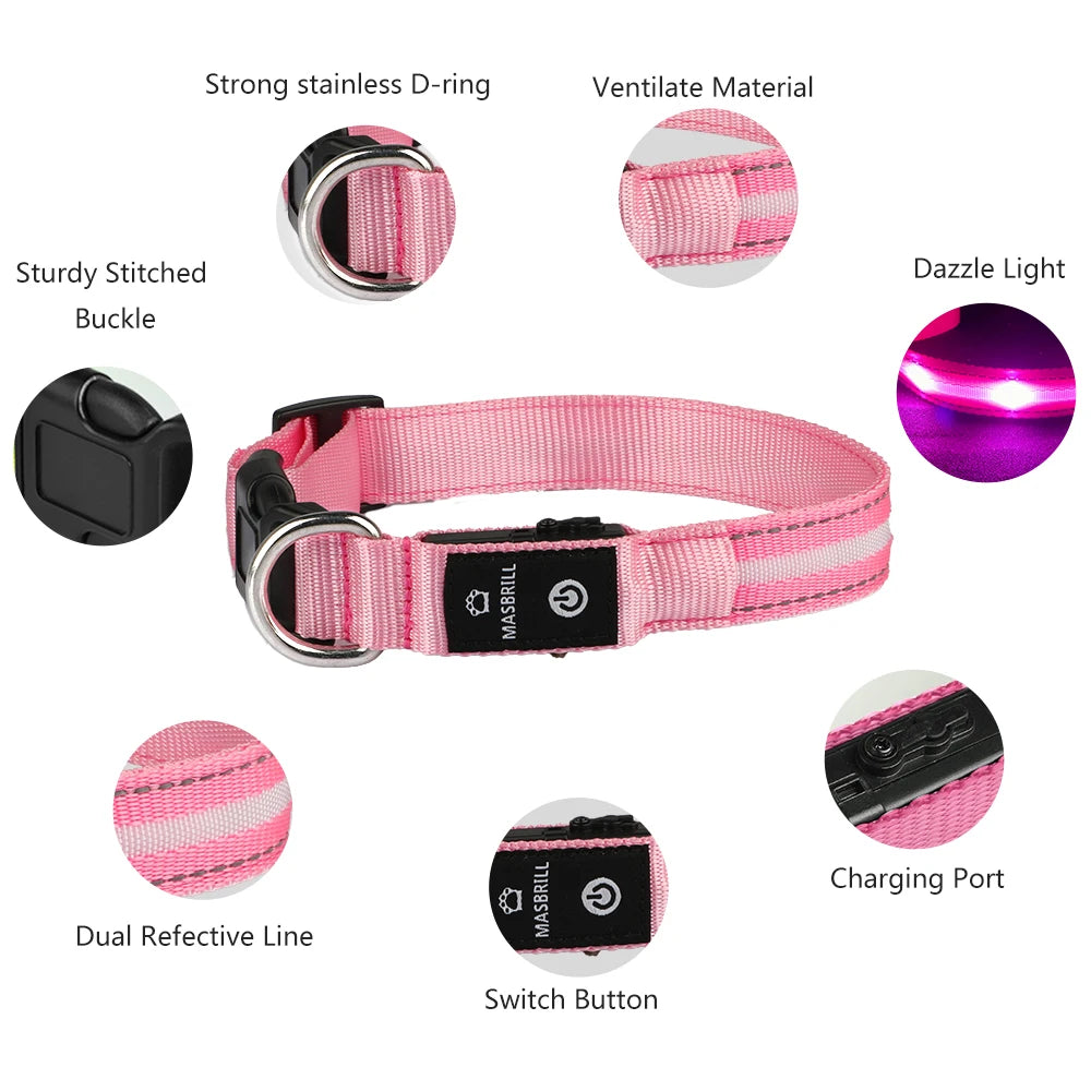 Light Up Dog Collar Waterproof USB Rechargeable Glowing Adjustable Night Safety Nylon Luminous LED