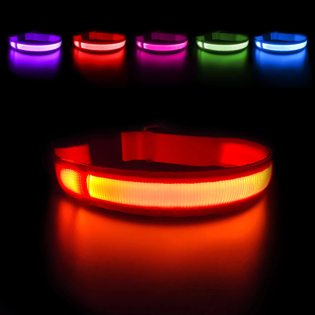 Dog Collar Luminous Pet Supplies  Water poof Safety