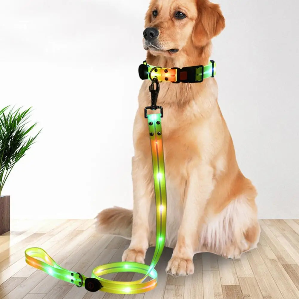 Adjustable Light Up Dog Collar USB Rechargeable Led Light  Adjustable Length 3 Light Modes Night for Safety