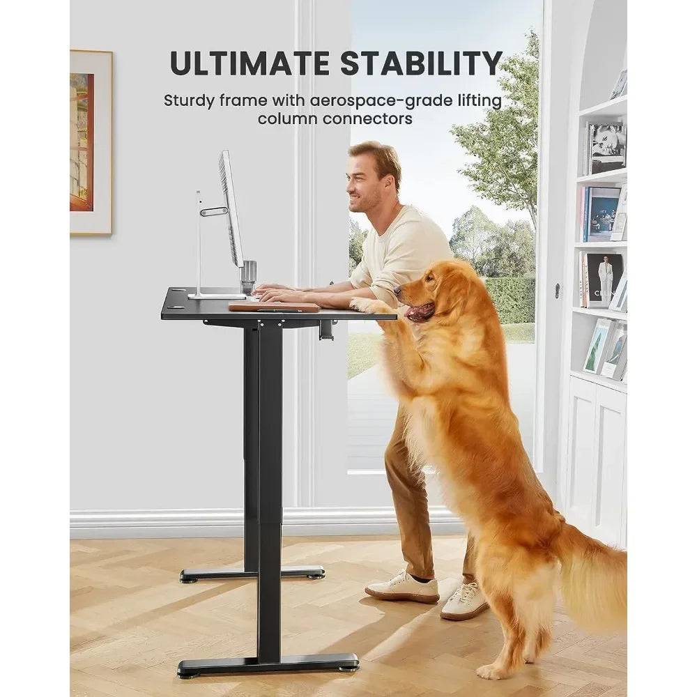 Height Adjustable Electric Standing Desk Table for Laptop 55 X 28 Inches Sit Stand Up Desk