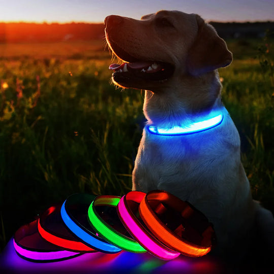 Dog Collar Luminous Pet Supplies  Water poof Safety